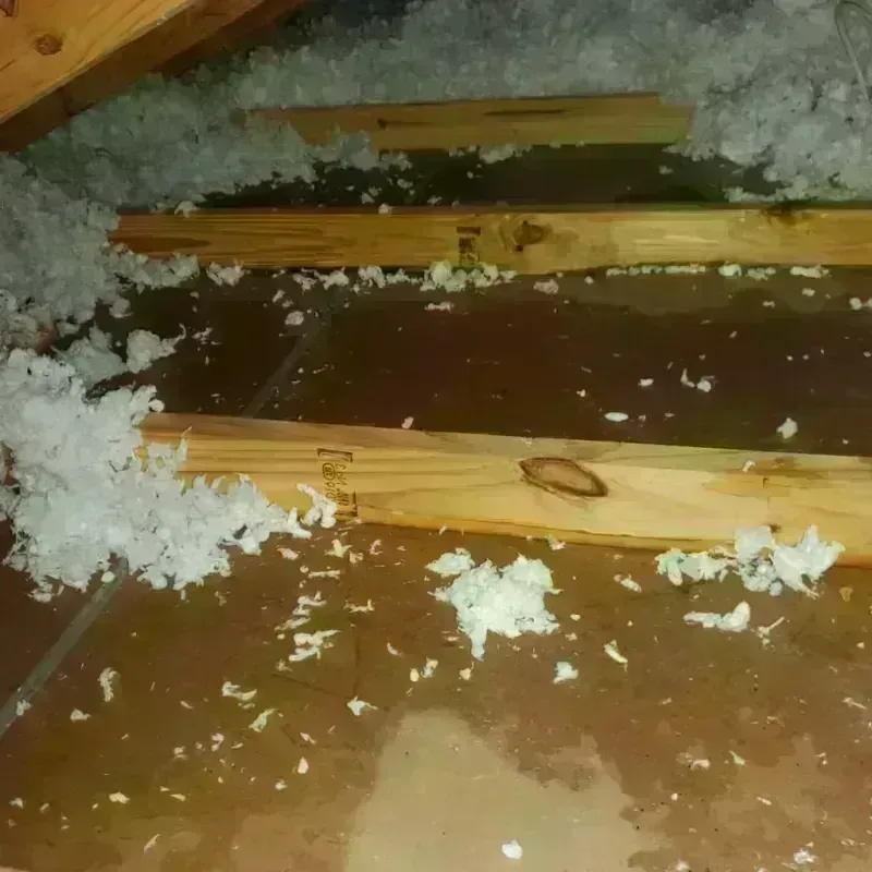 Attic Water Damage in Rock Rapids, IA