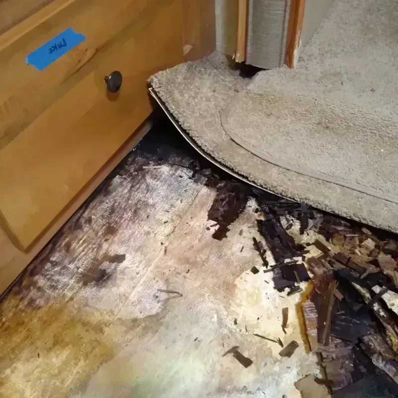 Wood Floor Water Damage in Rock Rapids, IA